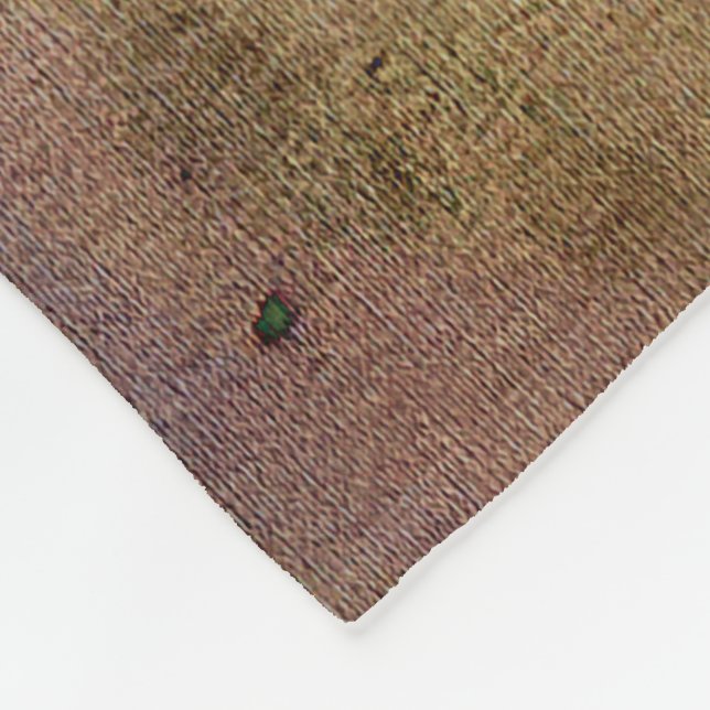 Manta Polar A través de un cristal oscuro (Esquina)