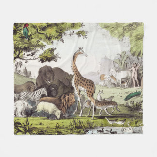 Manta Polar Adam nombra a las criaturas