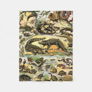 Manta Polar Adolphe Millot Reptiles 1 Flaca
