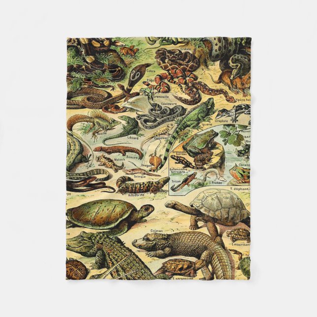Manta Polar Adolphe Millot Reptiles 2 Flaca (Anverso)