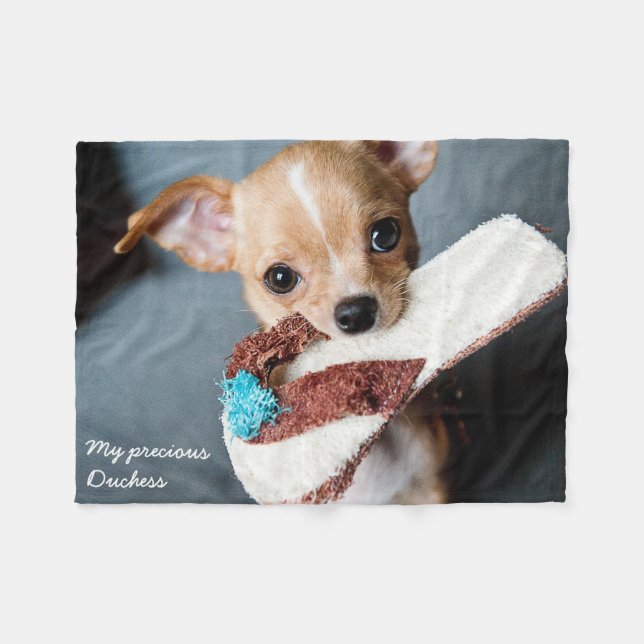 Manta Polar Adorable hihuahua fleece Blanket (Frente (Horizontal))