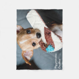 Manta Polar Adorable hihuahua fleece Blanket