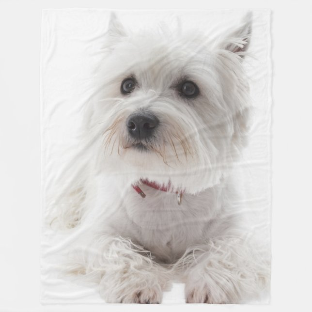 Manta Polar Adorable White West Highland Terrier (Anverso)