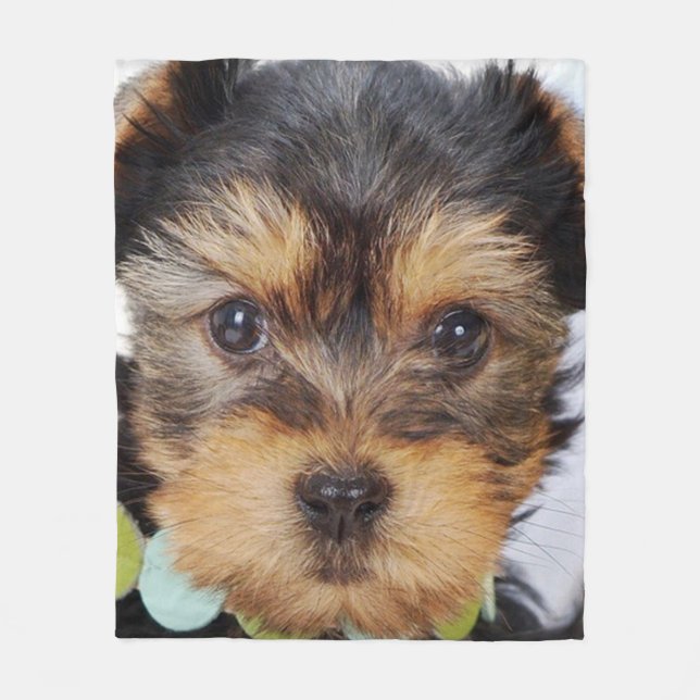 Manta Polar Adorable Yorkshire Terrier (Anverso)