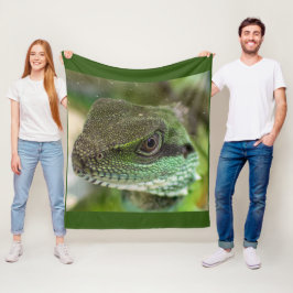 Manta Polar Agama, lagarto