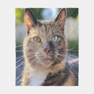 Manta Polar Agregar foto de gato personalizar