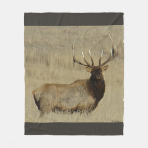 Manta Polar Alces Bull grande de E30 Bull