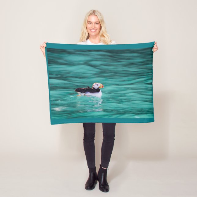 Manta Polar Aluminio En La Bahía Resurrección, Alaska (In situ)