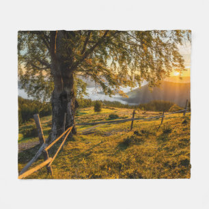 Manta Polar Amanecer brumoso en un bosque