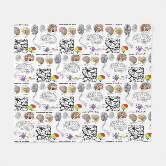 Manta Polar Anatomía de un cerebro humano popular (Frente (Horizontal))