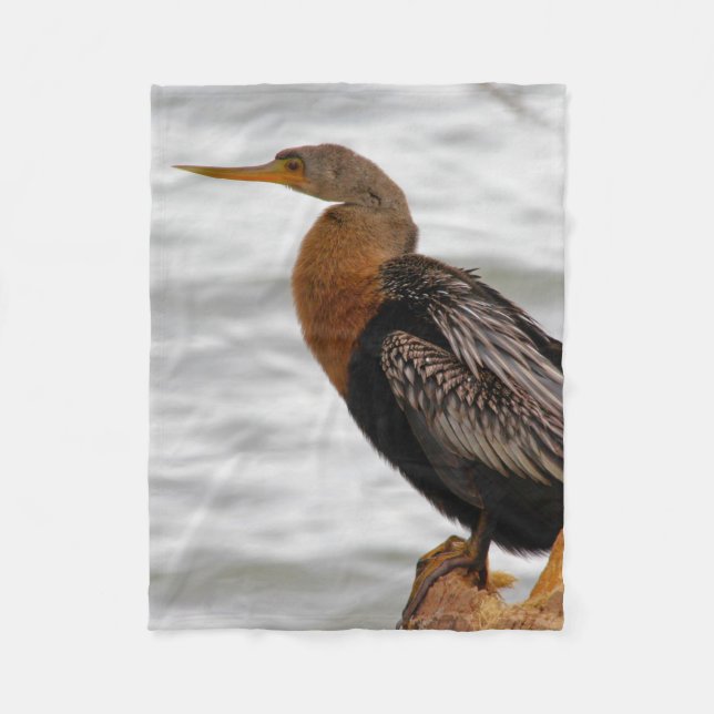 Manta Polar Anhinga Al Acecho (Anverso)