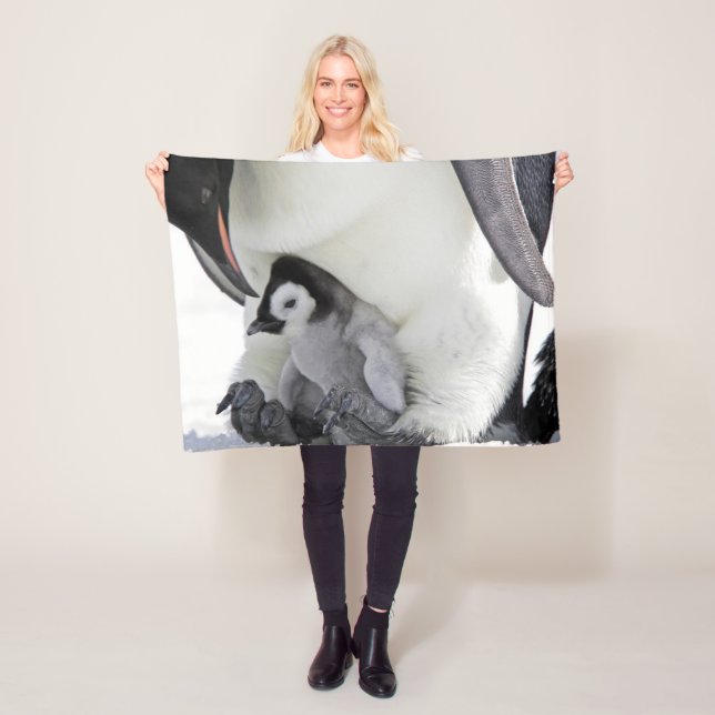 Manta Polar Animales de bebé más afectados | Baby Emperor Peng (In situ)