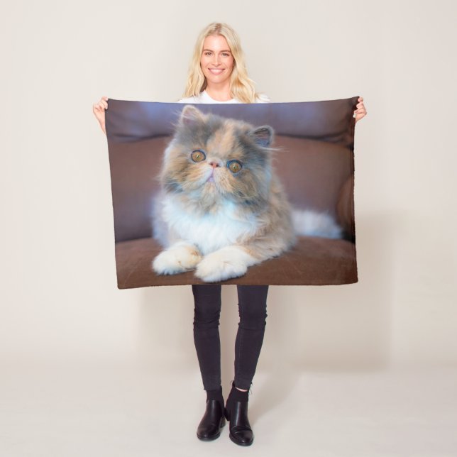 Manta Polar Animales de bebé más afectados | Calico Persian Ki (In situ)