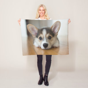 Manta Polar Animales de bebé más afectados Corgi Puppy