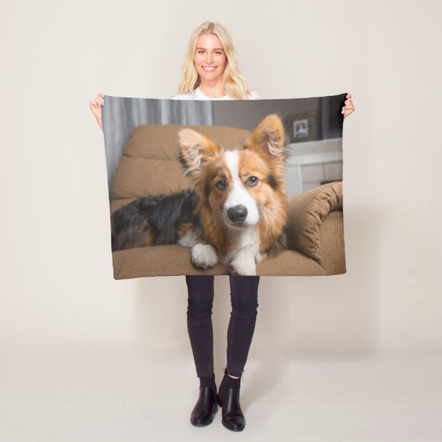 Manta Polar Animales de bebé más afectados | Corgi Puppy de pe (In situ)