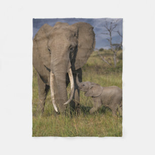 Manta Polar Animales de bebé más afectados   Elefante Amama co