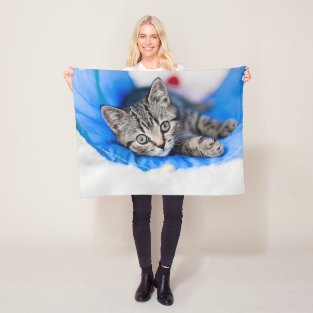 Manta Polar Animales de bebé más afectados | Gatito de Tabby e (In situ)