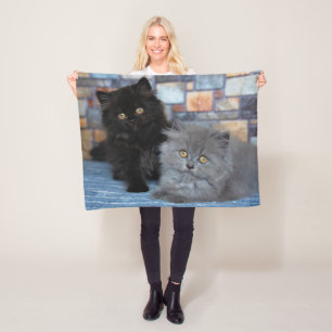 Manta Polar Animales de bebé más afectados Gatitos persas en