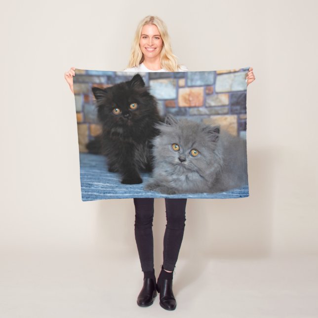 Manta Polar Animales de bebé más afectados | Gatitos persas en (In situ)