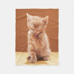 Manta Polar Animales de bebé más afectados Naranja Tabby Kit