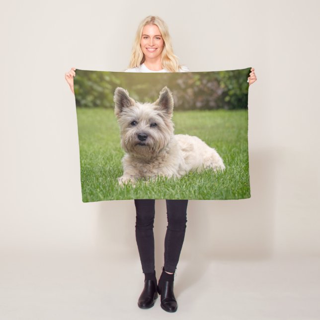 Manta Polar Animales de bebé más afectados | Perro Cairn Terri (In situ)