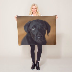 Manta Polar Animales de bebé más afectados   Puppy de Labrador