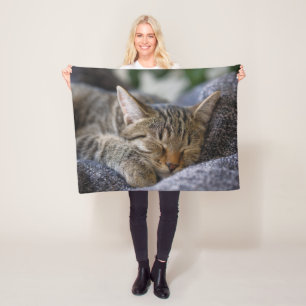 Manta Polar Animales de bebé más afectados Tabby Kitten Slee