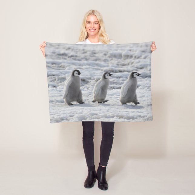 Manta Polar Animales de bebé más afectados | Tres chicles ping (In situ)