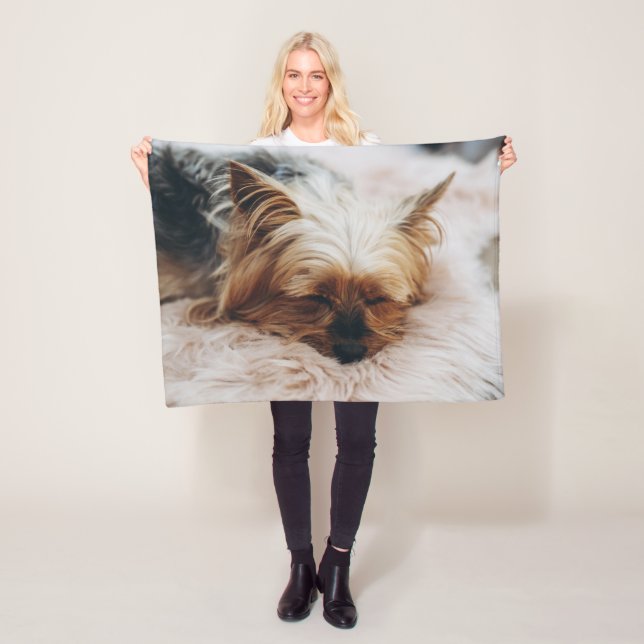 Manta Polar Animales de bebé más afectados | Yorkshire Terrier (In situ)