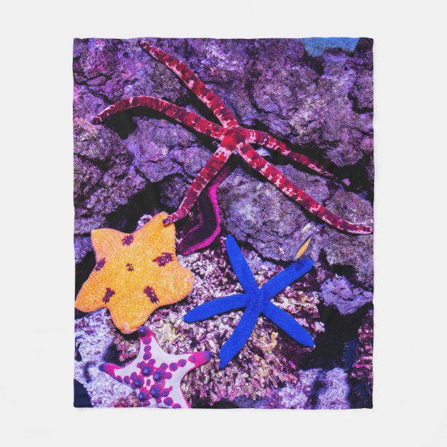 Manta Polar Animales del mar (Anverso)