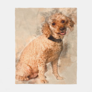 Manta Polar Apricot Poodle De 7 Años De Edad- Cute Lover Rega