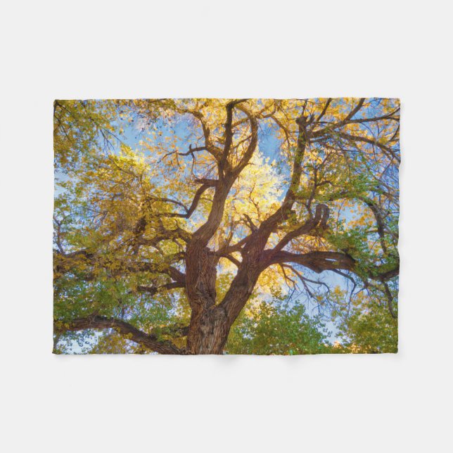 Manta Polar Árbol de algodón | Parque Nacional Capitol Reef, U (Frente (Horizontal))