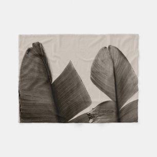 Manta Polar Árbol de plátanos sale de Sepia