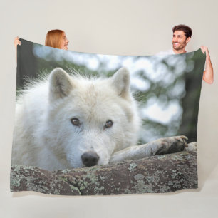 MANTA POLAR ARCTIC WOLF