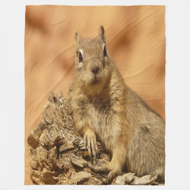 Manta Polar Ardilla dorada (Anverso)