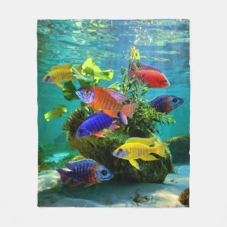 Manta Polar Arte del acuario de African Cichlids Peacock Cichl
