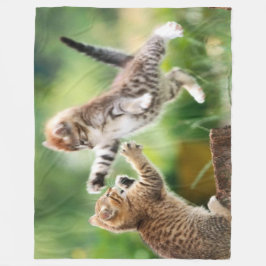 MANTA POLAR ATACAR A KITTEN