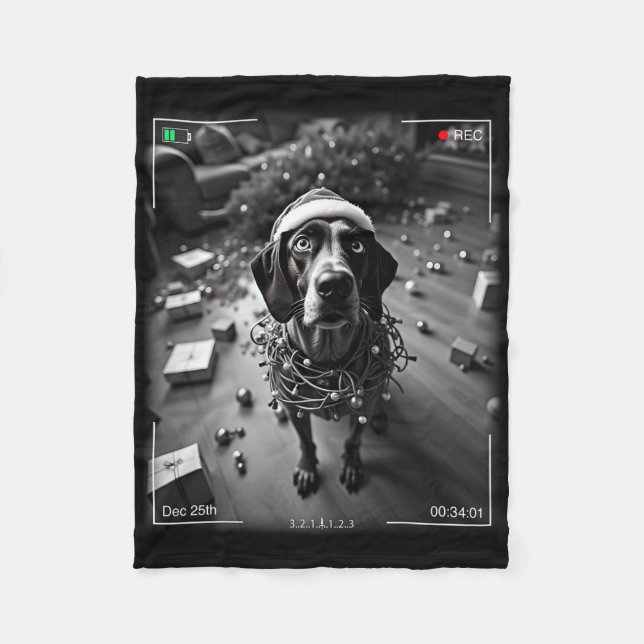 Manta Polar Atrapan A Cam A Un Artista Alemán De Shorthtransmi (Anverso)