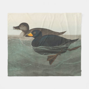 Manta Polar Audubon American Scoter Duck