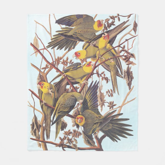 Manta Polar Audubon Carolina Parakeet Flock (Anverso)