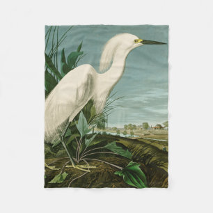 Manta Polar Audubon Snowy Heron White Egret Bird Birding