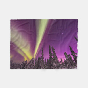 Manta Polar Aurora Borealis Northern Lights Fairbanks Alaska