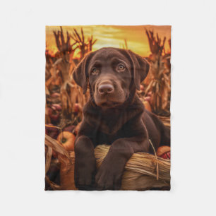 Manta Polar Autumn Labrador Pup