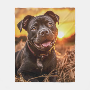 Manta Polar Autumn Staffie