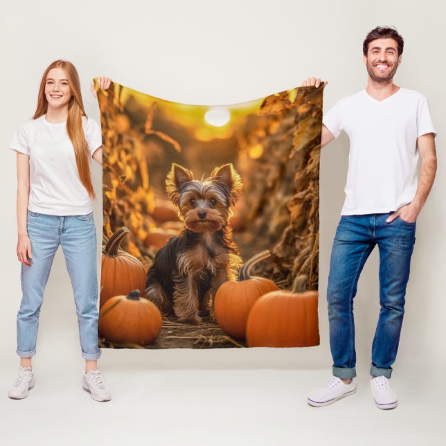 Manta Polar Autumn Yorkie Pup (In situ)