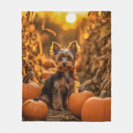 Manta Polar Autumn Yorkie Pup