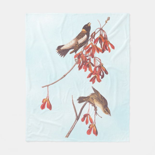 Manta Polar Aves de Audubon haciendo Bunting Rice o aves Bobol (Anverso)