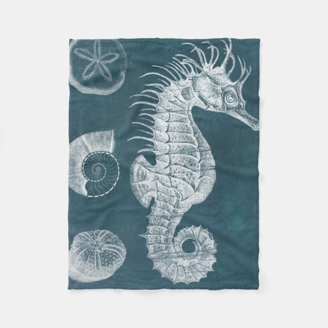 Manta Polar Azure Seahorse Study I (Anverso)