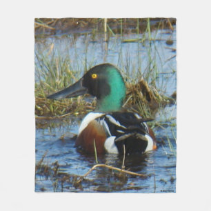 Manta Polar B25 Northern Shoveler Drake Spoonbill