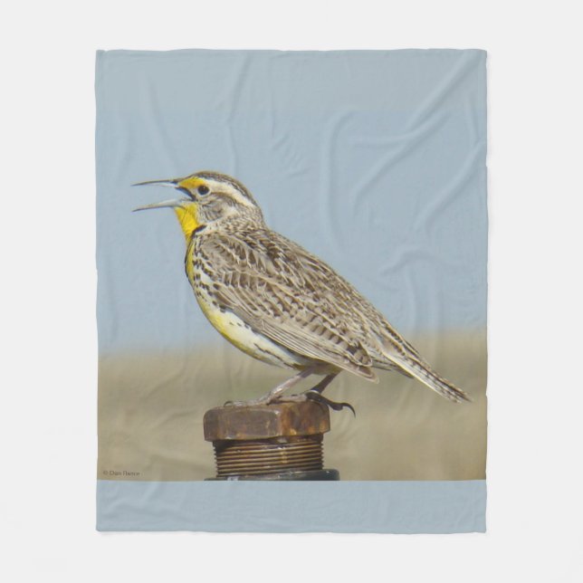 Manta Polar B6 Western Meadowlark (Anverso)